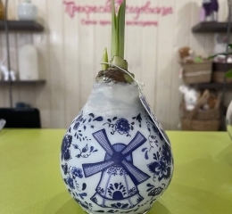 Луковицы амариллиса, покрытые воском с рисунком в стиле гжель Луковицы амариллиса, покрытые воском с рисунком в стиле гжель